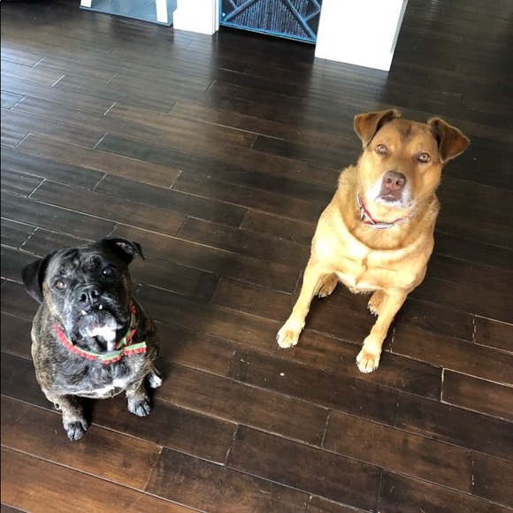 Meet your Posher, Laura - Picture 3 of 3